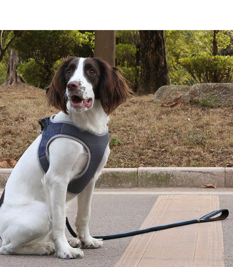 No Choke Dog Harness