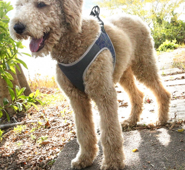 No Choke Dog Harness