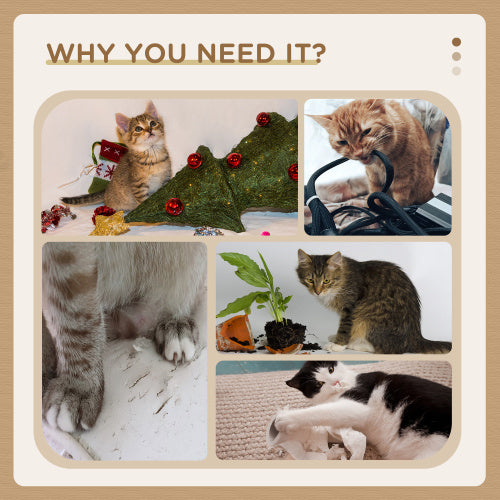 Cat Scratching Tree