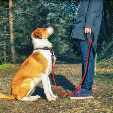 Reflective Pet Leash